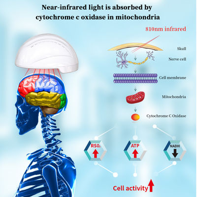 casco infrarosso di Photobiomodulation della luce di 810nm LED per migliorare di Alzheimer