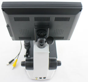 Microscopio LCD approvato di microcircolazione di colore dello schermo dell'OEM del CE per il controllo del chiodo